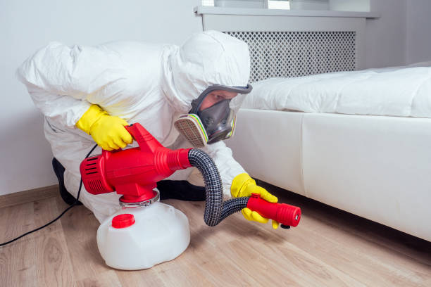 Best Fumigation Services  in Greenville, NY